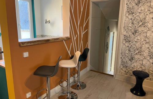 Saint-Amand-Montrond Apartment | Les AVATARS