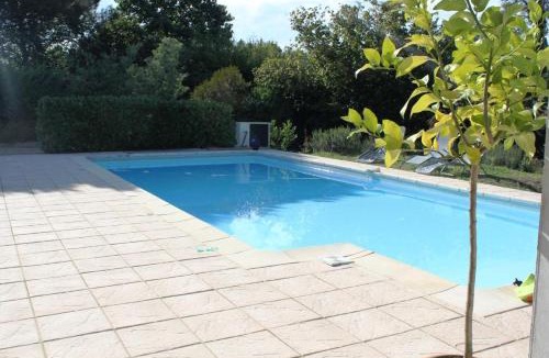 Taller House | Les bambous