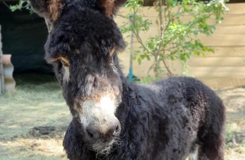 Pont-de-Barret House | Les Beaux Chenes