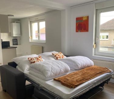 Horbourg-Wihr Apartment | Les Berges de L'Ill