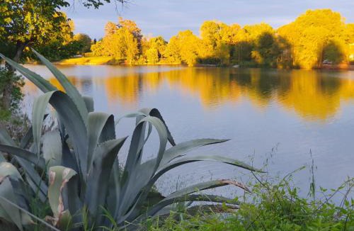 Labastide-de-Levis Bed & Breakfast | Les berges du Seudo chambres d'hôtes