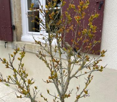 Paray-sous-Brailles Bed & Breakfast | les Blés d'Or