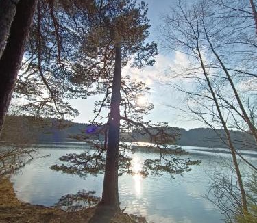 Monlet House | Les Bois de Malaguet - gite d'étape et de séjour