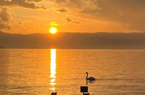 Sciez Other | Les bord du Lac Leman