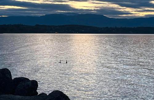 Sciez Other | Les bord du Lac Leman