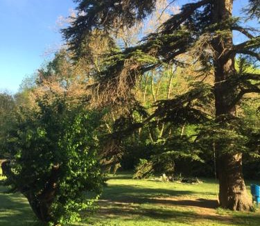 Chalabre House | Les cèdres