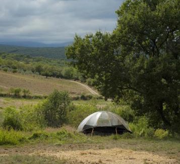 La Tour-Sur-Orb Other | Les Cabânes- Bulle du Grand Chêne