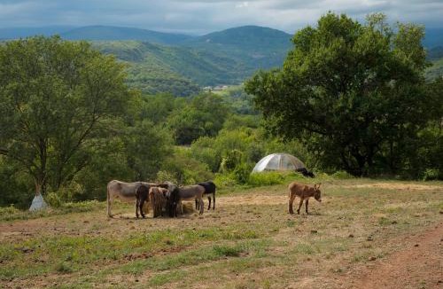 La Tour-Sur-Orb Other | Les Cabânes-Tipi Paco en pleine nature