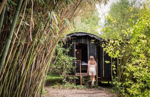 La Madelaine-sous-Montreuil Bed & Breakfast | Les Cabanes Des Marais