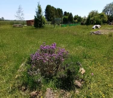 Foucheres Other | Les Cabanes d'Hérande - Le Millésime