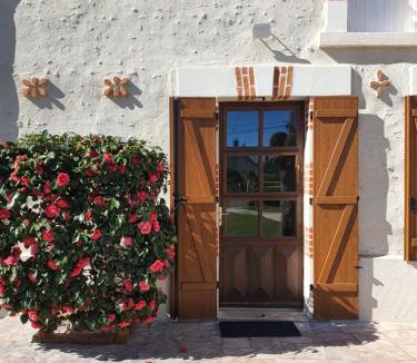 Selles-sur-Cher House | Les camélias