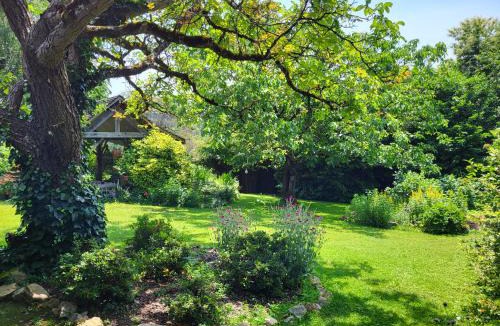 Chamboulive House | Les Causeries du Monde