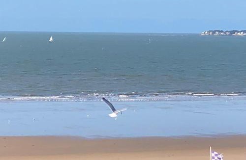 Pornichet Apartment | LES CEDRES, Résidence LES OCEANES