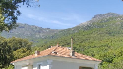 Pietracorbara Apartment | " les chênes "