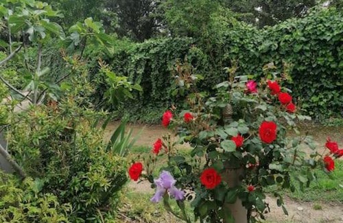 Beaucaire House | Les chênes verts