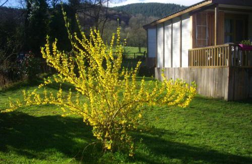 Alzen Ski Chalet | Les chalets d'Alzen