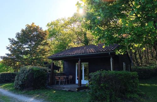 Vaulry Ski Chalet | Les chalets de Céleste