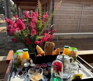 Occhiatana Ski Chalet | Les Chalets De Tesa 2