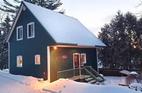 Saint-Faustin-Lac-Carre House | Les chalets du village