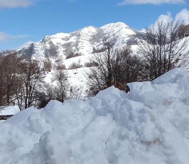 Zicavo Ski Chalet | les chalets montagne alta rocca