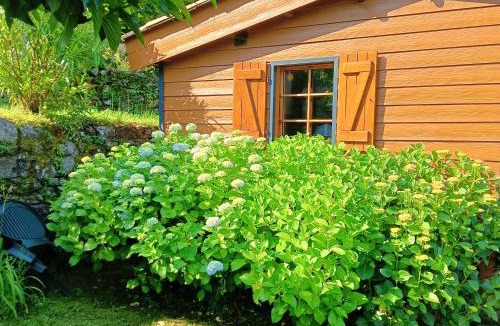 Zicavo Ski Chalet | les chalets montagne alta rocca