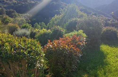 Zicavo Ski Chalet | les chalets montagne alta rocca