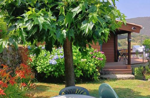 Zicavo Ski Chalet | les chalets montagne alta rocca