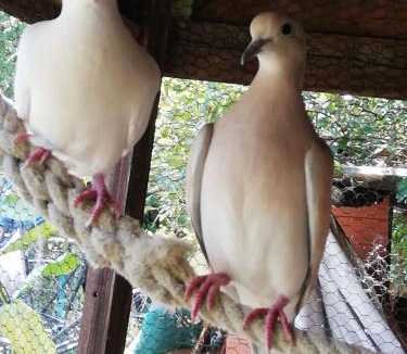 Saint-Dizier-les-Domaines Bed & Breakfast | Les Chambres d'Helix