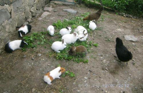 Saint-Dizier-les-Domaines Bed & Breakfast | Les Chambres d'Helix