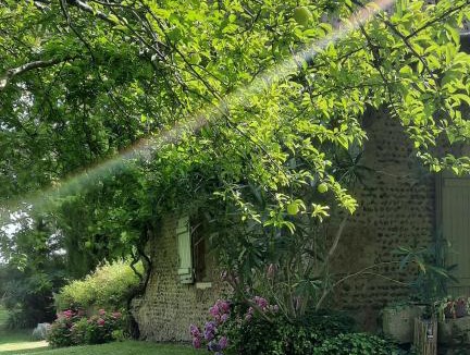 Saint-Maurice-sur-Adour Bed & Breakfast | Les chambres du trouilh