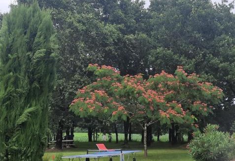 Saint-Maurice-sur-Adour Bed & Breakfast | Les chambres du trouilh