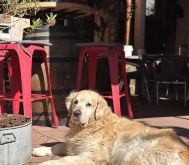 La Petite-Pierre Bed & Breakfast | Les Chambres - Au Grès du marché