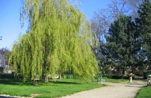 Bulgneville Bed & Breakfast | Les Chambres d'hôtes Benoit Breton