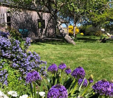 Le Palais Bed & Breakfast | Les Chambres d'Hôtes de Bordustard