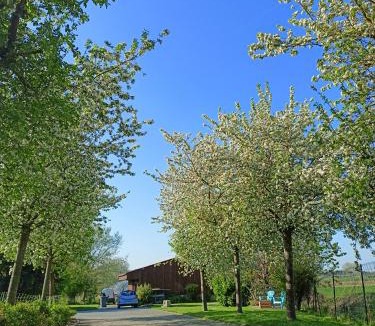 Verlinghem House | Les chambres d'hôtes DU VERT GALANT " l'Allée des champs"