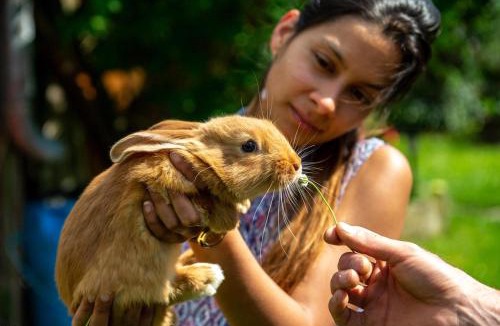 Bertrambois Bed & Breakfast | Les Chambres d'hotes de Laurette