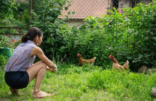 Bertrambois Bed & Breakfast | Les Chambres d'hotes de Laurette