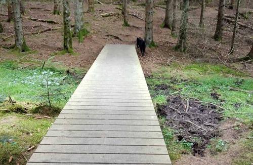 Felines Bed & Breakfast | Les Chambres de Solol : Aventure