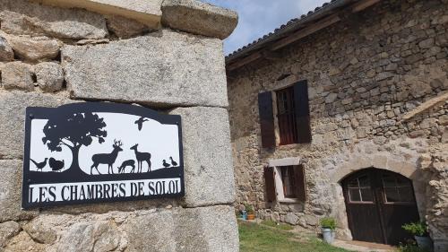 Felines Bed & Breakfast | Les chambres de Solol