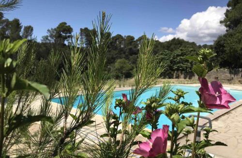Laure-Minervois Bed & Breakfast | Les chambres du domaine de russol