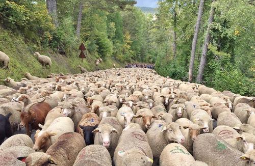 Roubion House | Les Chardons - ROUBION