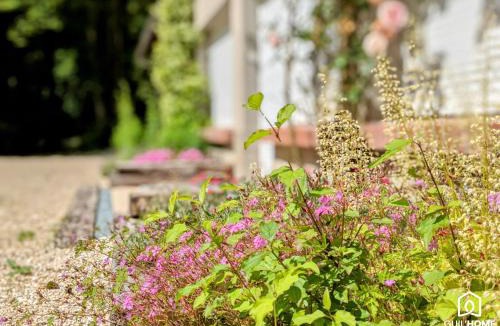 Boigny-sur-Bionne Apartment | Les Charmes - Climatisation - Terrasse - Nature