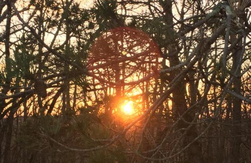 Monsac Bed & Breakfast | Les Chevreuils