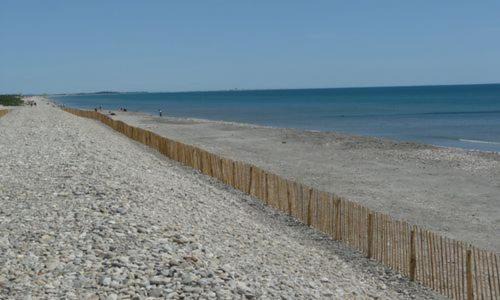 Vic-la-Gardiole Other | les cigales