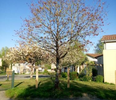 Moutiers-Sous-Chantemerle Apartment | Les Clés Nature