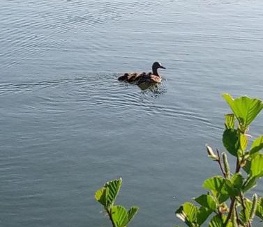 Moutiers-Sous-Chantemerle Apartment | Les Clés Nature Apt 44