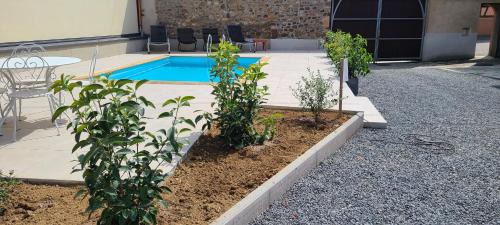 Zellwiller Bed & Breakfast | LES COLOMBAGES