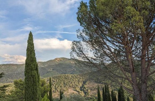 Aubres Bed & Breakfast | Les Colombes