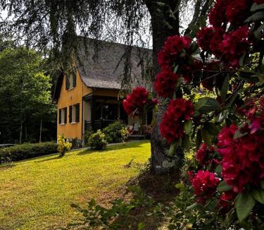 Saint-Estephe Bed & Breakfast | 'Les Comètes' B&B