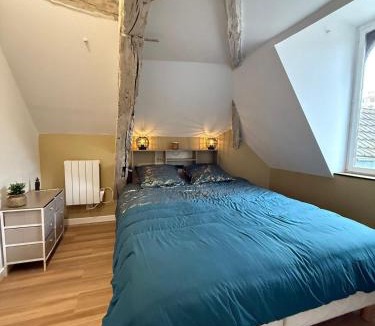 Old Town Apartment | Les Combles de Colbert- hyper center